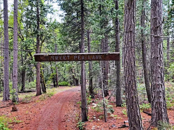 Texas Hill Rd, Emigrant Gap, CA 95715