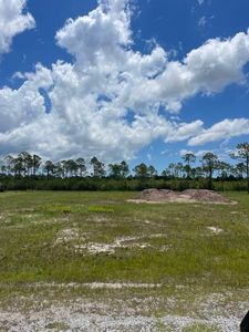 LOT 5 Plantation Dr, Pt Saint Joe, FL, 32456