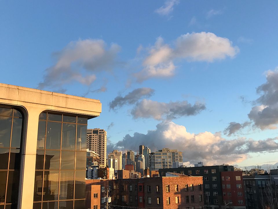 Evening View