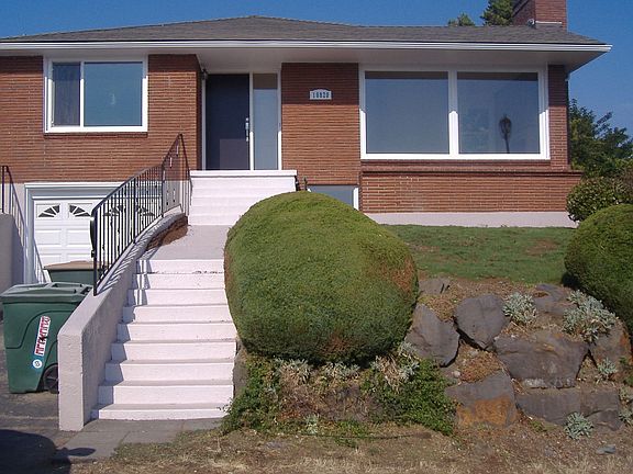 Newly manicured yard.
