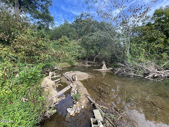 4th image of 1955 Little Valley Rd
