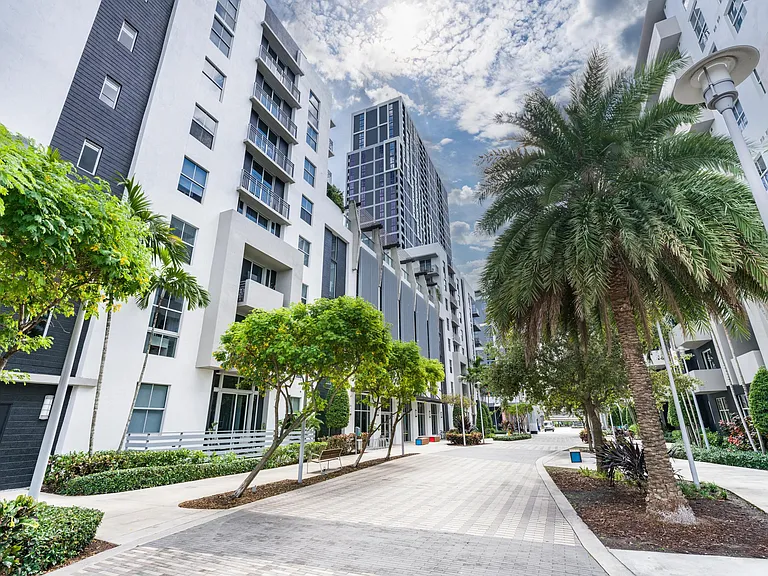 Choose Modera Douglas Station in Miami, FL, and experience palm tree-lined pathways.