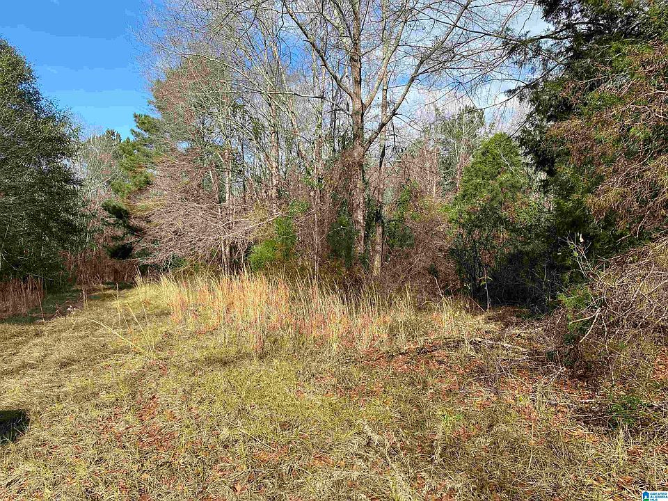 2nd image of 480 County Road 582