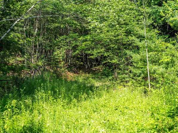 Lot 4.2 Tommy Lot Road, Moultonborough, NH 03254