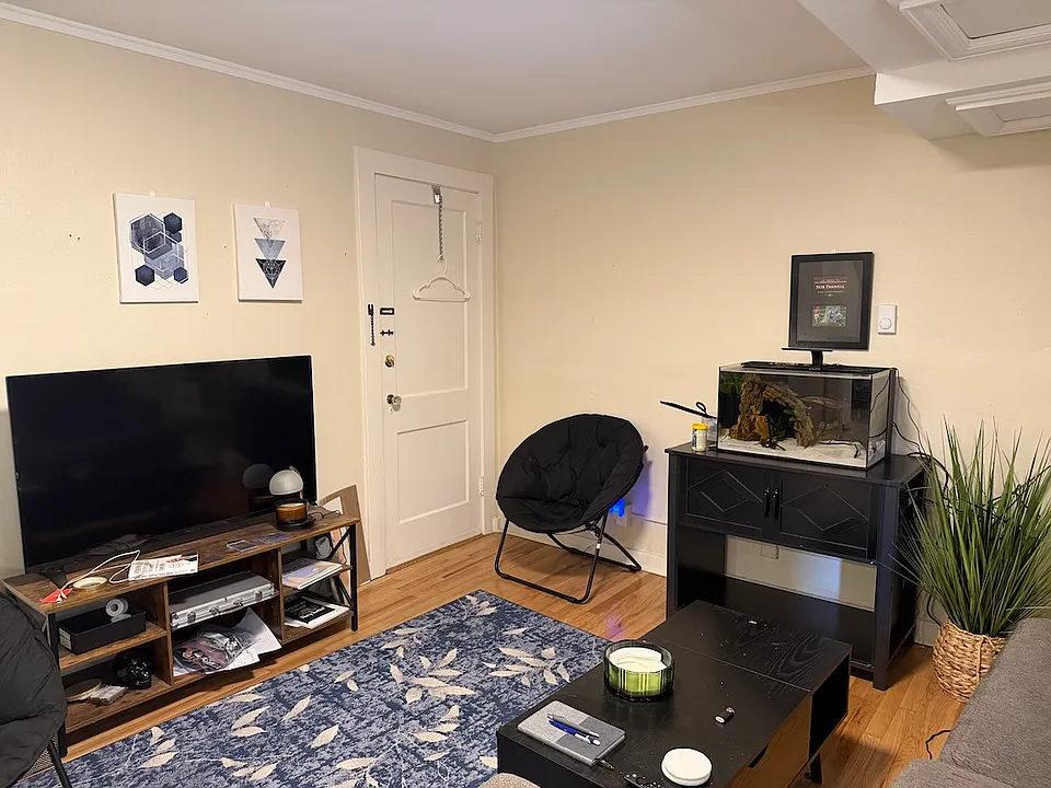 Comfortable Living Room