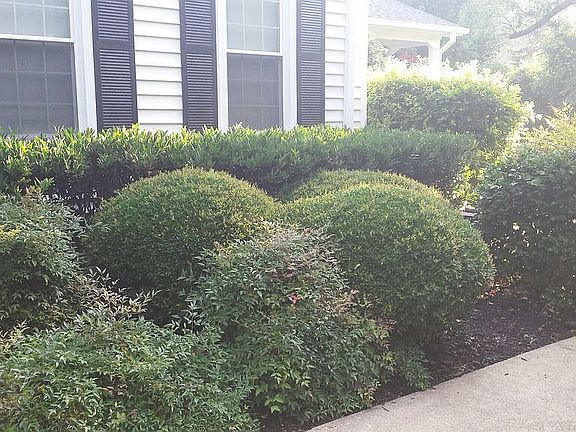Mature landscaping