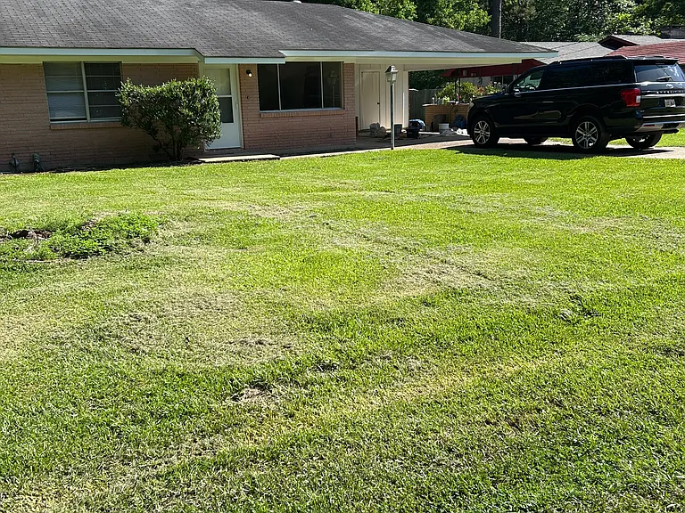 Paradise Rd — Photo 1