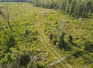 12190 Mount Gilead Rd, Greenville, FL 32331