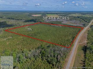 TRACT 2 Kinnett Rd, Jacksonville, GA 31544