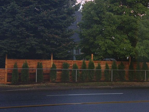 new fence and 50 trees