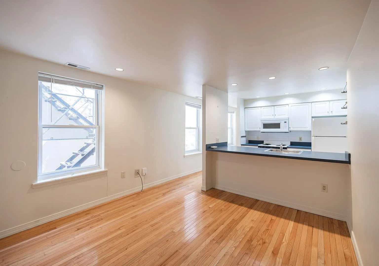 1728 Green Street — Photo 3