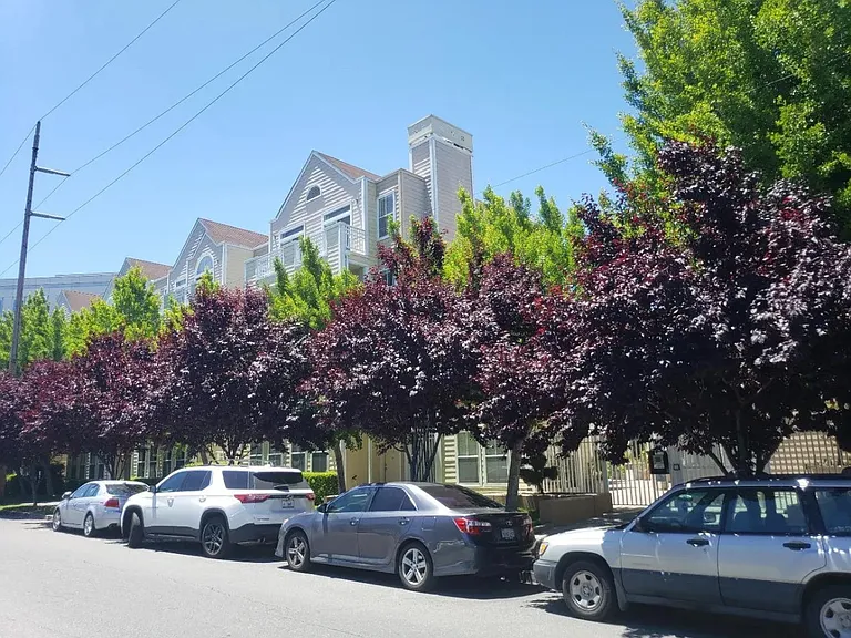 550 Ortega Ave #B219 — Photo 22