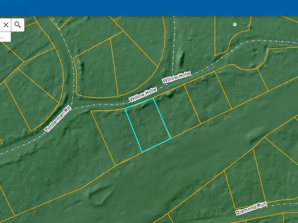 0 Willow Hollow Rd, Claysburg, PA 16625