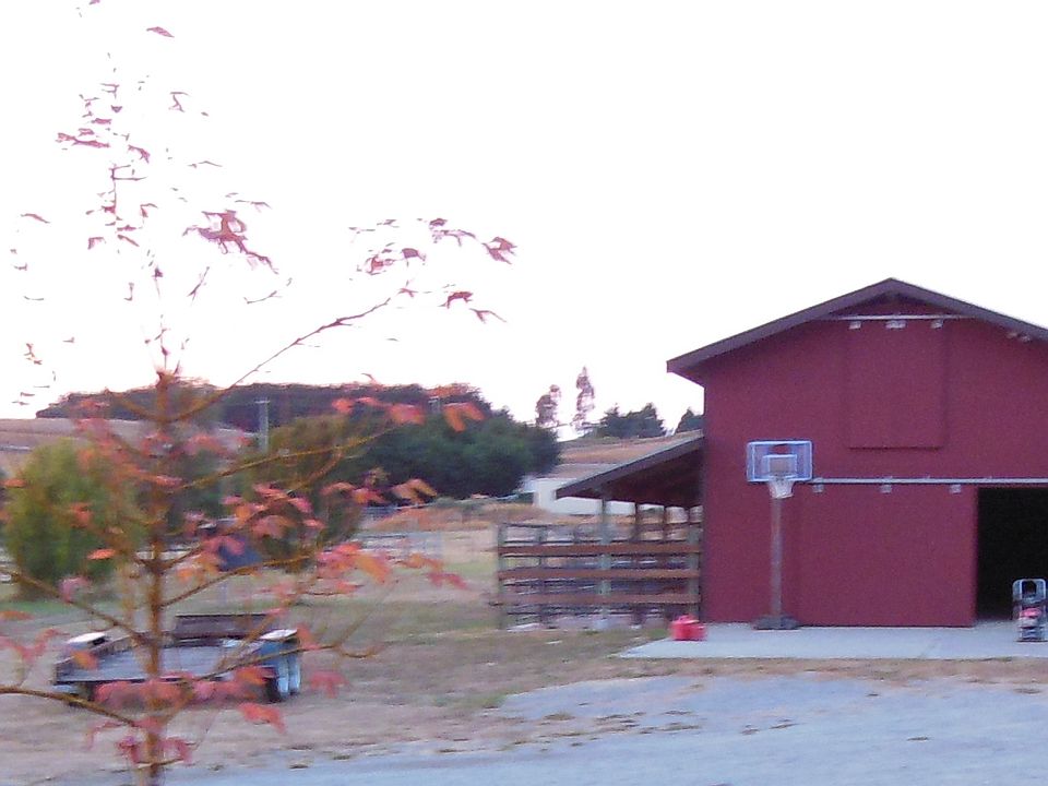 4 Stall barn