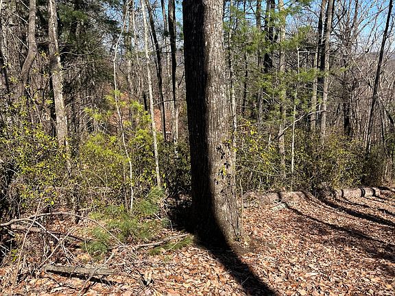 2nd image of 0 Eastman Mountain Rd