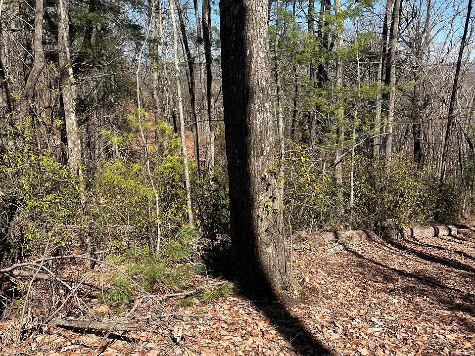 2nd image of 0 Eastman Mountain Rd