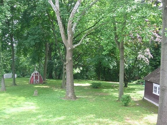 Wooded back yard
