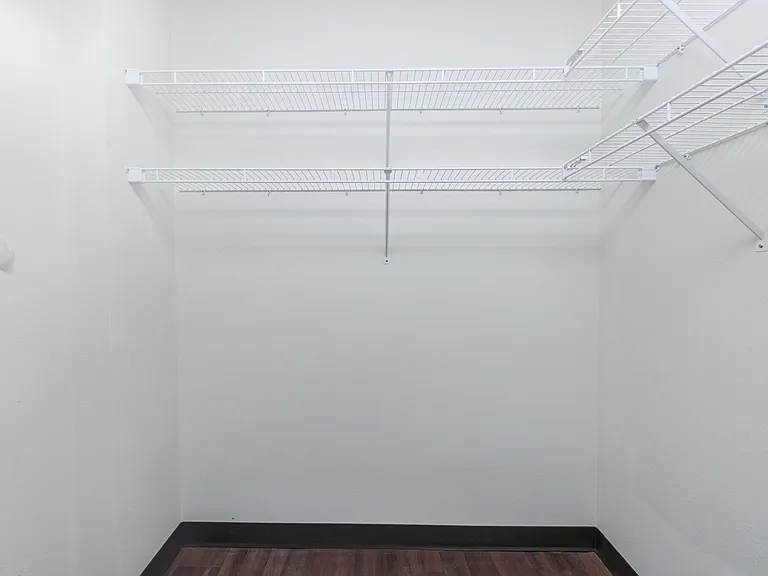 Walk-In Closet with Built-In Shelving