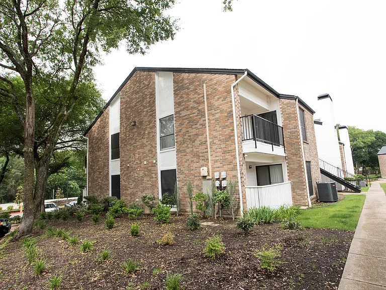 Serena Vista — Photo 45