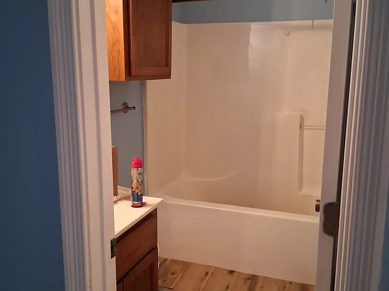 166 Polly Anna Dr — Photo 6