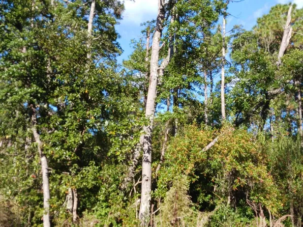 L-22 Bluebird Road, Boiling Spring Lakes, NC 28461