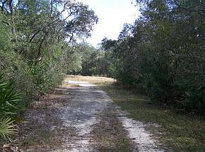 3rd image of 4594 E Hogg Heaven Ct