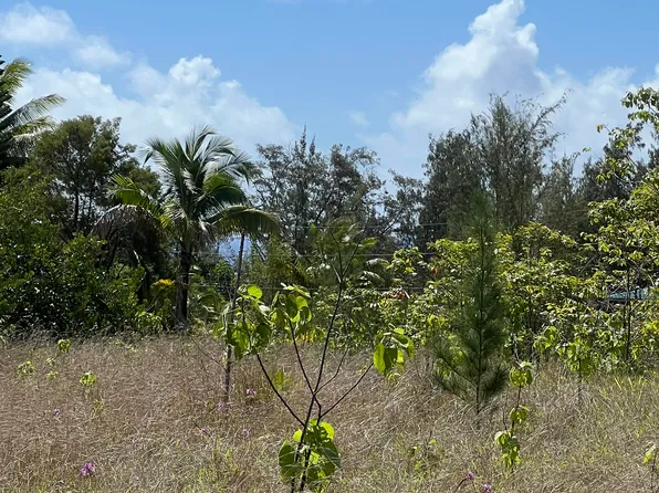 Waioleka St Lot 43, Pahoa, HI 96778