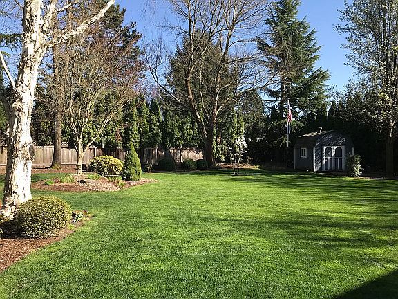 Large back yard and out buil