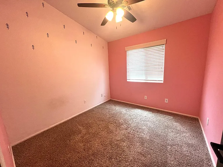 28496 N Dolomite Ln — Photo 10