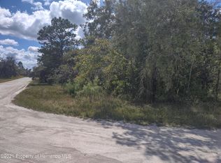 12410 Rock Duck Ave, Weeki Wachee, FL 34614