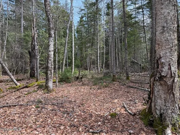 L34.1 Youngs Road #1, Schroon Lake, NY 12870