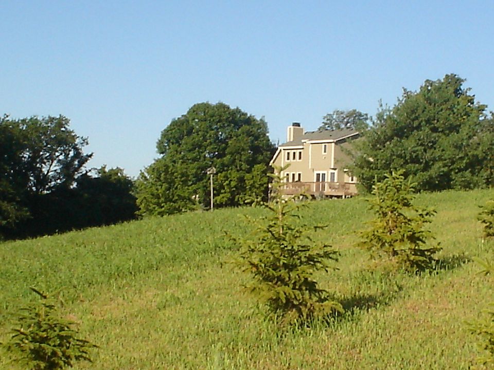 Back