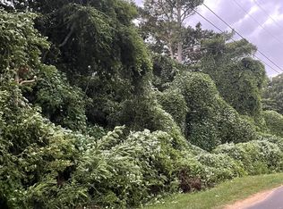 LOT 20 Lakeview Dr, Guntersville, AL 35976