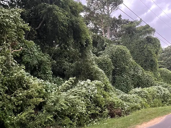 LOT 20 Lakeview Dr, Guntersville, AL 35976