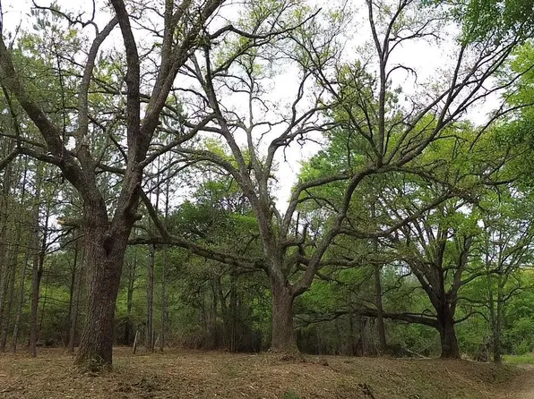 TRACT 3 Williams Rd #A, Clinton, LA 70722