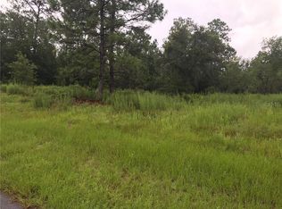 1178 W Newbury St, Citrus Springs, FL 34434