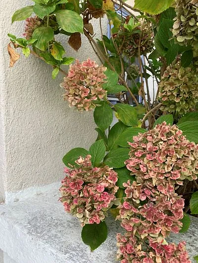 G St — Photo 3