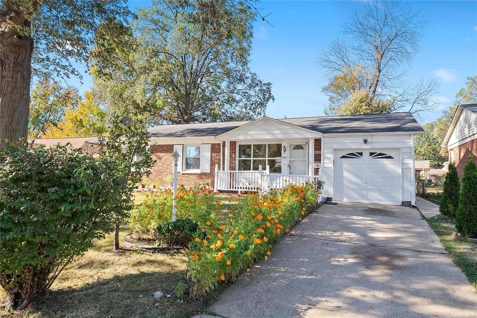 9227 Papoose Dr photo 1