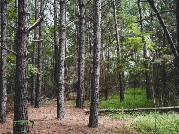 S Chavis Rd, Kittrell, NC 27544