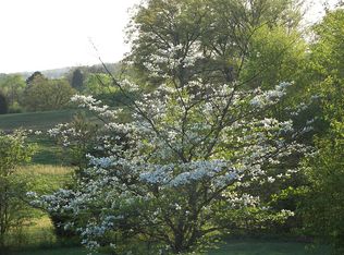 528 Binfield Rd, Maryville, TN 37801