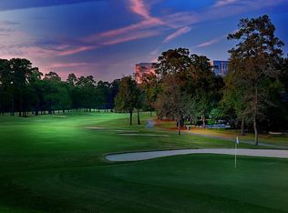 10 Wakerobin Ct, Spring, TX 77380