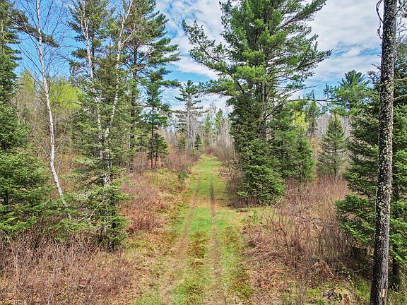 3rd image of LOT 7 Deerskin Rd