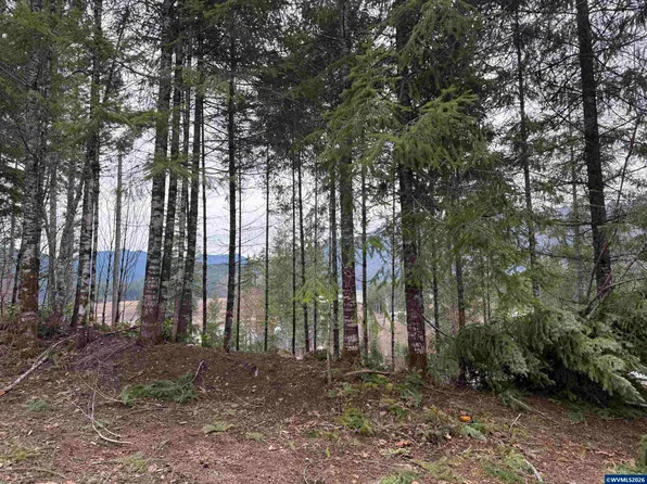 145 Scott Ave S, Detroit, OR 97342