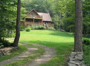 396 Amber Lake Rd, Livingston Manor, NY 12758