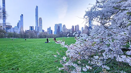 Rented by Bond New York