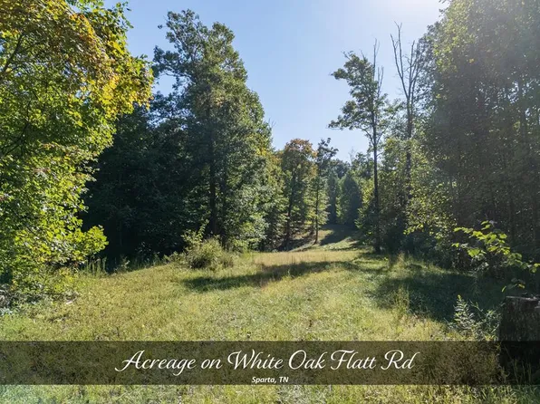 8111 White Oak Flatt Rd, Sparta, TN 38583