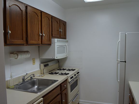 Gas oven