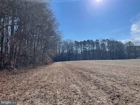 Beaver Dam Rd, Trappe, MD 21673