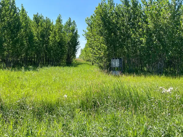 380th Ave NE, Goodridge, MN 56725