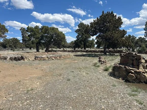 Kitty Litter Ln, Christmas Valley, OR 97641